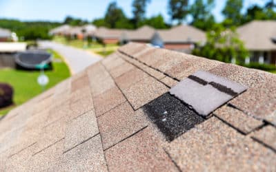 Why is Spring So Bad for Your Roof?